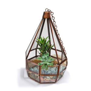Cone Tower Terrarium