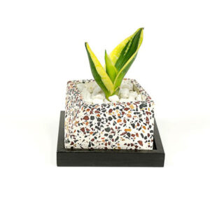 Concrete Terrazzo Slanty Planter
