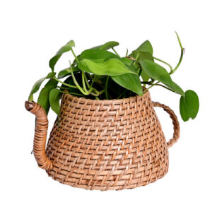 Kettle Shape Natural Cane Handmade Planter