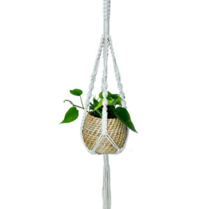 Natural Cane Handmade Planter with Macramé for Hanging