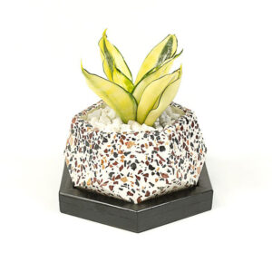 Concrete Terrazzo T-Mark Planter