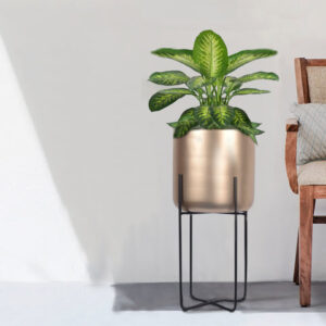 Minimalist Aurelia Indoor Planter